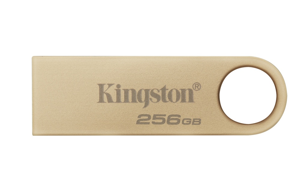 Kingston DataTraveler SE9 G3 Clé USB 3.0 256 Go