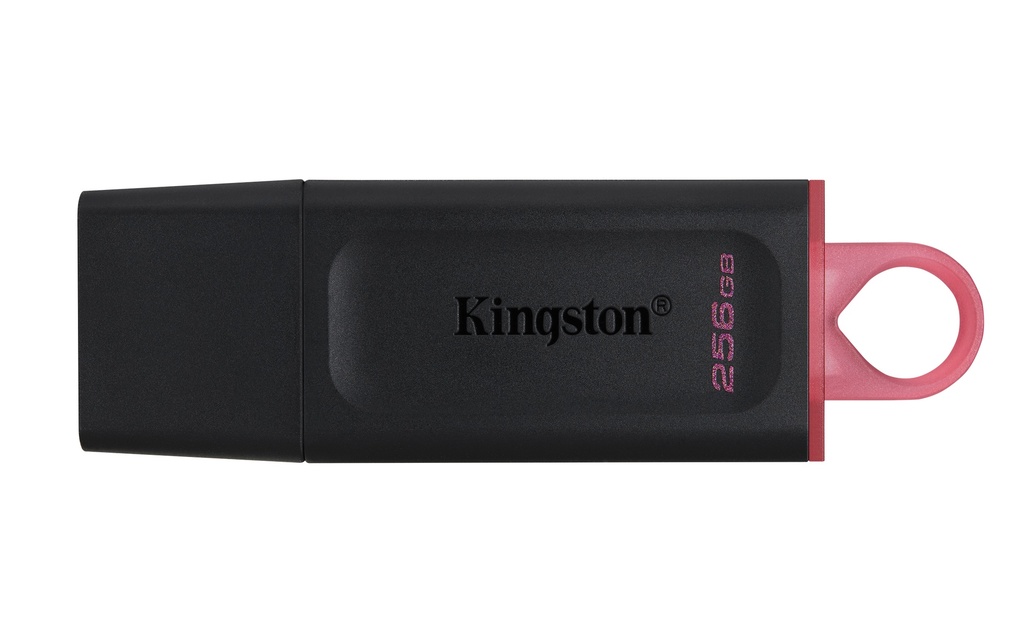 Kingston DataTraveler Exodia - clé USB - 256 Go