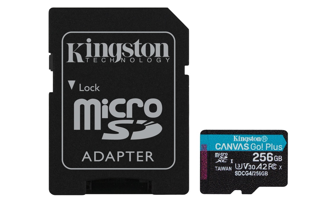 Carte MicroSD Kingston 256Go V30